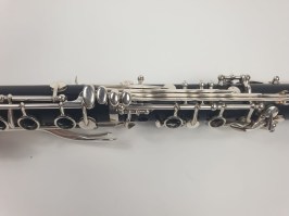 Leblanc Esprit (6)